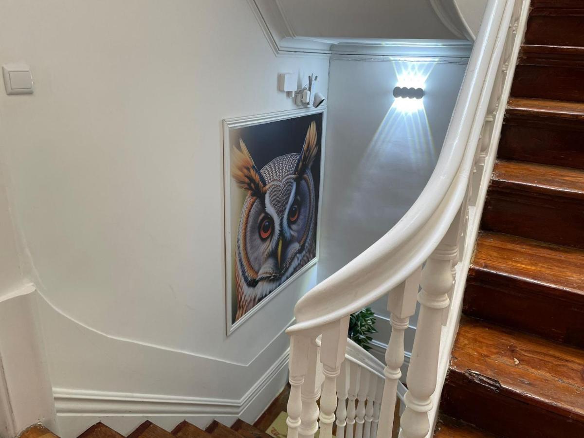 Owls Hostel Ildefonso Porto Bagian luar foto